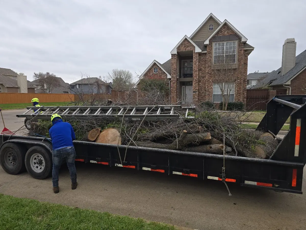 Expert Lot Clearing with proper safety equipment in Sussex